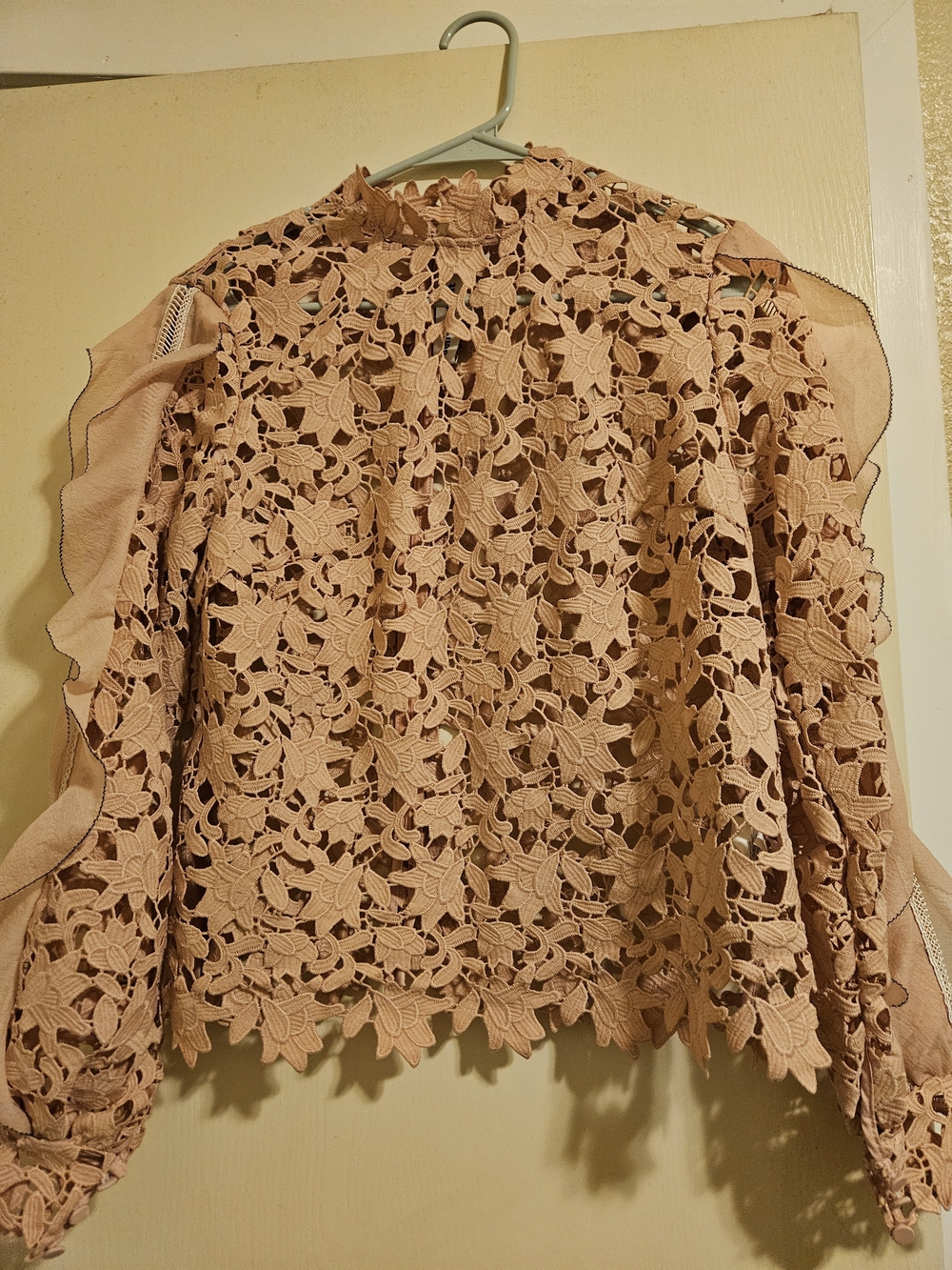 Self-Portrait Blush Pink Floral Lace Long-Sleeve Blouse